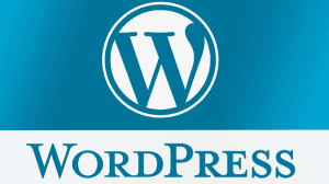 Read more about the article What is WordPress? a simple explanation.